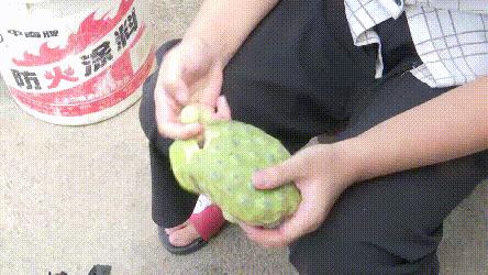 DƬw